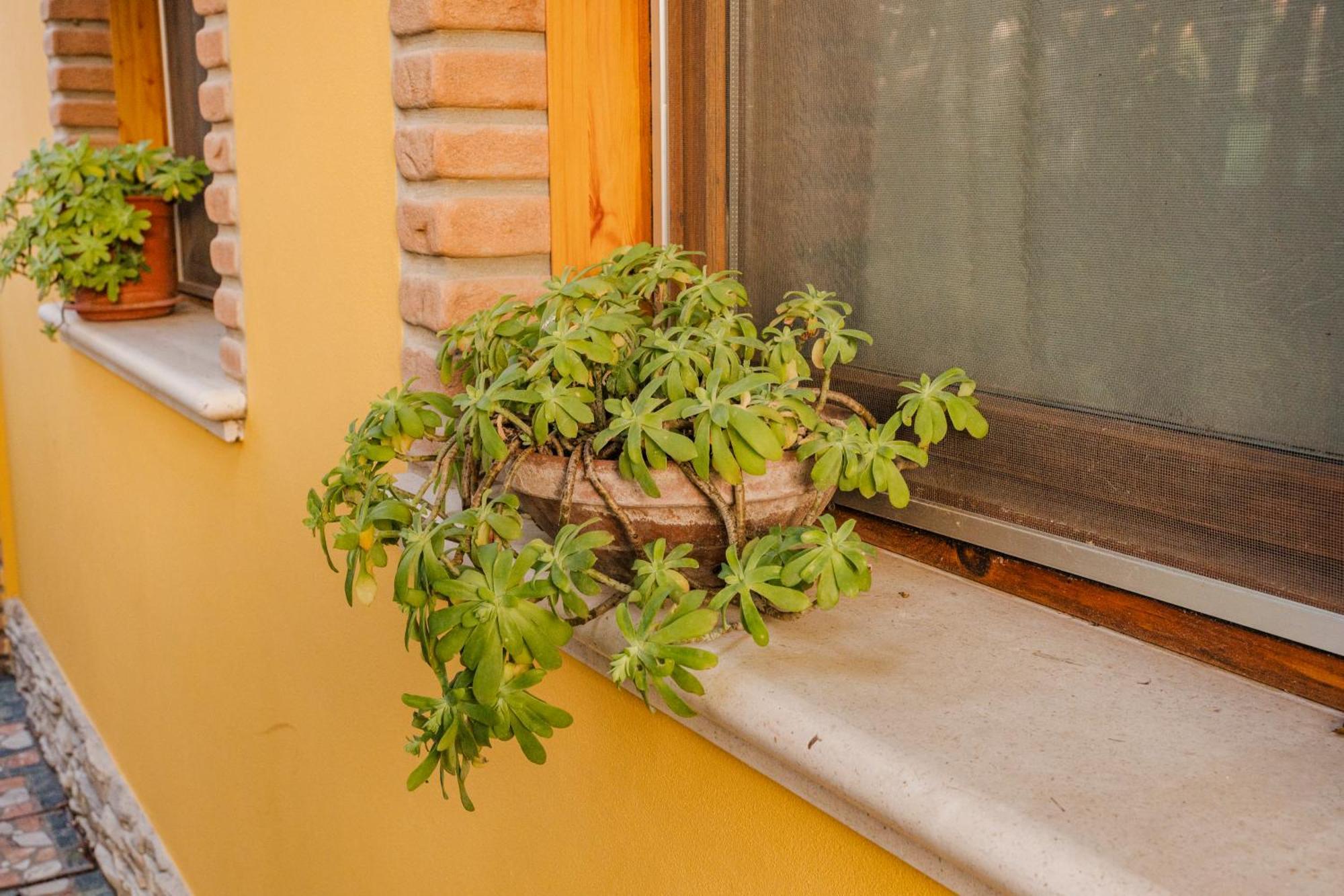 La Loggia Bed & Breakfast Comacchio Dış mekan fotoğraf